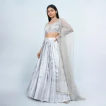 Silver half Saree